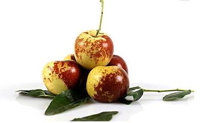 沾化冬棗與黃驊冬棗 齊魯與燕趙的冬棗雙璧